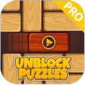 Unblock Puzzle Pro 2018