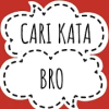 cari kata bro加速器