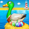 Duck Farm Breeding: Eggs & Chicken Poultry Farming