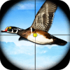 Duck Sniper Shooter - Real Wild Adventure Hunting加速器