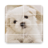 Cute Puppies Puzzle加速器