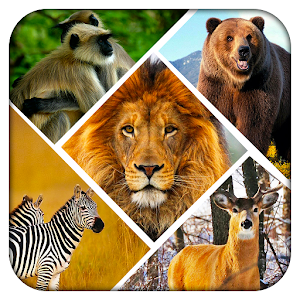 Wild Safari Quick Snapshot 3D加速器