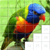 Guess the Bird. Tile Puzzle.加速器