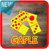 Gaple New 2018加速器