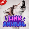 Animal Link Match 3 Game加速器