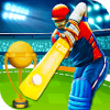 IPL T20 Cricket 2018 Craze加速器