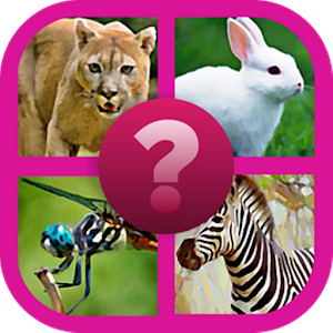 Guess The Animals Quiz加速器