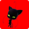 Ladybug und Cat Noir - Quiz