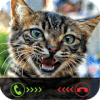 Fake Call: Cat Caller ID加速器