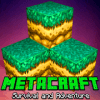 MetaCraft : Exploration Adventure