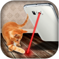 Laser Pointer for Animals Joke