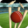 Real Cricket Runout Championship加速器