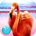 Wild Pink Flamingo Life Simulator加速器