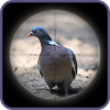 Sniper Pigeon Hunting 3D加速器