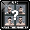 UFC - Name The Fighter加速器