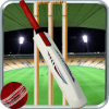 IPL T20 Slider Cricket 2018加速器