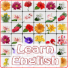 Onet Flower English