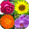 Flowers - Botanical Quiz about Beautiful Plants