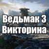 Викторина для Ведьмак 3