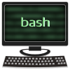 Bash Quiz LITE加速器