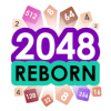 2048 Reborn加速器