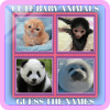 Cute Baby Animals - Guess The Names