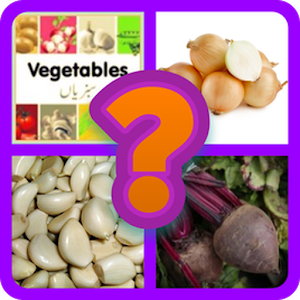 Vegetable Quiz Game 2018加速器