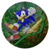 Sonic Island Adventures加速器