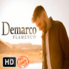 Demarco Flamenco Musica加速器