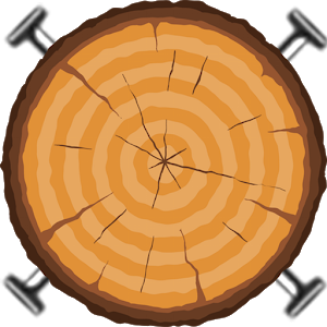 Nailed Wood加速器