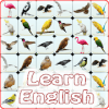 Onet Bird English