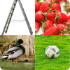 NOUNS QUIZ