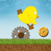 Chick'Run