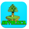 Skyblock Survival加速器