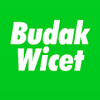 Budak Wicet加速器