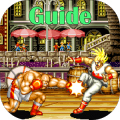 Guide for Fatal fury
