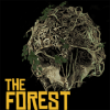 The Forest Survival加速器