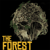 The Forest Survival