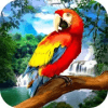 * Wild Parrot Survival - jungle bird simulator!加速器