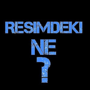 Resimdeki ne ?加速器