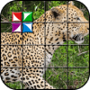 Tile Puzzle Leopard加速器