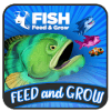 Feed The Fish And Grow Game