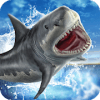 Shark Slide Racing 2018加速器