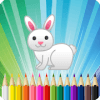 Rabbit Coloring Book