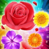 Blossom Blast - Blossom Blitz Blast Flower Match