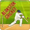 Blokstok Cricket加速器