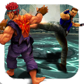 Champ Street Fighting Games for Free: Karate Champ