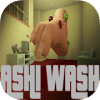 Ashi Wash加速器