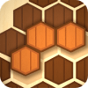 Wooden Hexa Puzzle加速器