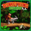 SNES Dnkey Kong Adventure加速器